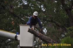 Entergy 039